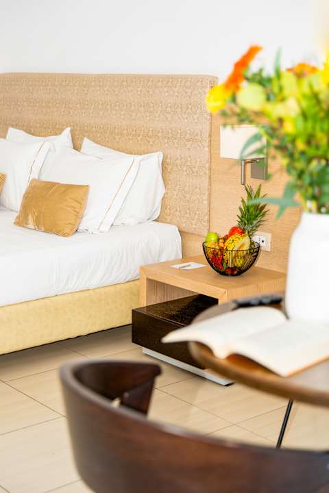 Zimmer Albatros Spa & Resort Hotel