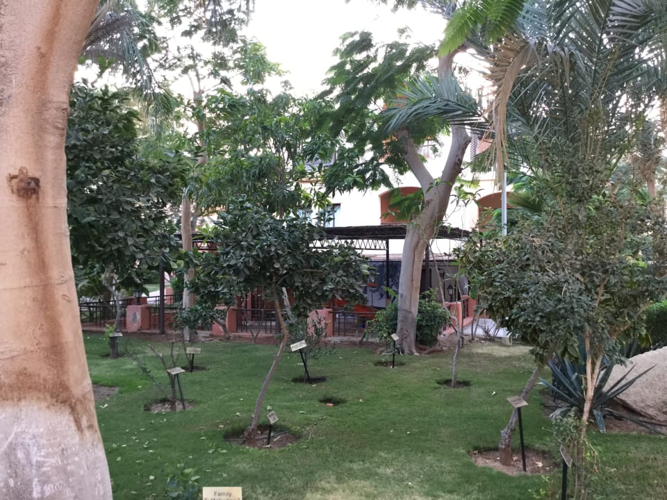 Gartenanlage Jaz Makadi Oasis Resort