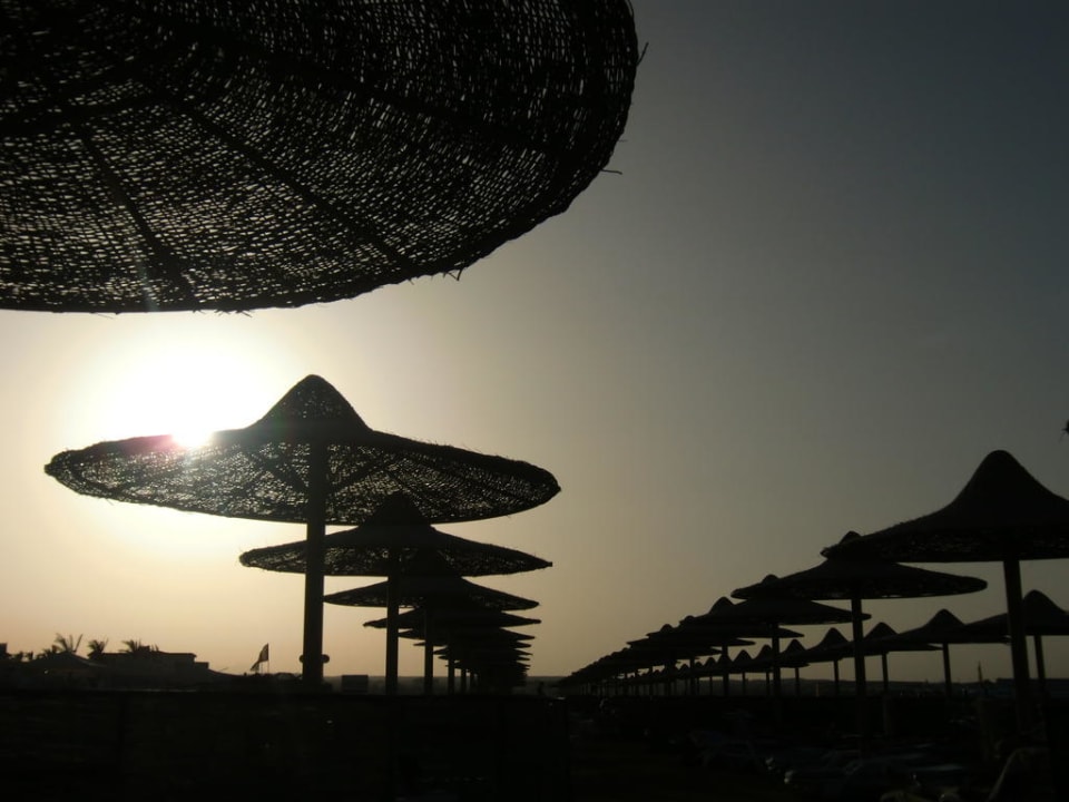 Schade, wieder ein Tag vorbei Stella Beach Resort & Spa Makadi Bay