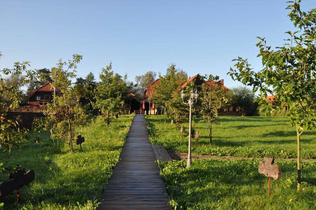 Aleja dębów Dworek nad Łąkami Kiermusy