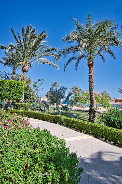 Gartenanlage Steigenberger Coraya Beach - Adults only