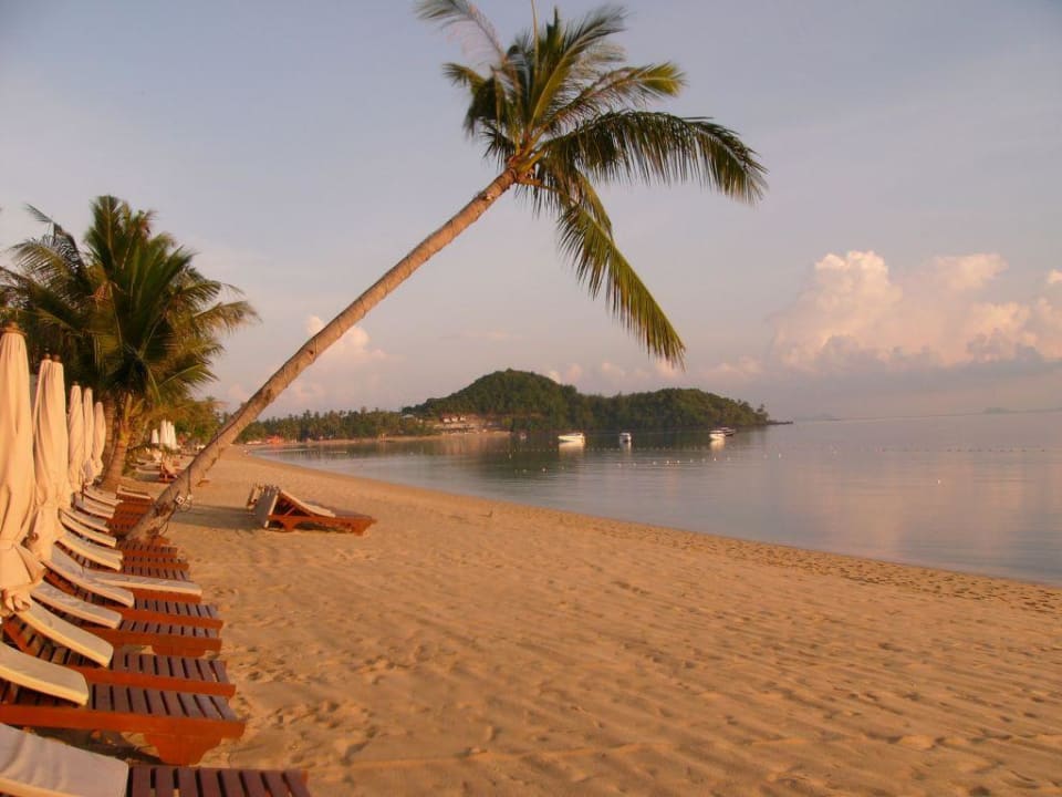 Der Strand morgens um 9 Uhr Bandara Spa Resort & Pool Villas, Samui