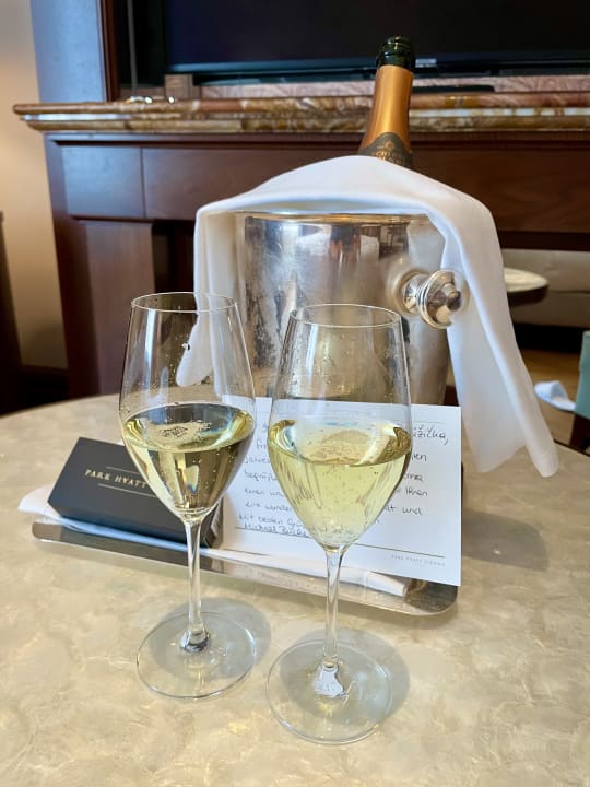 Zimmer Park Hyatt Vienna