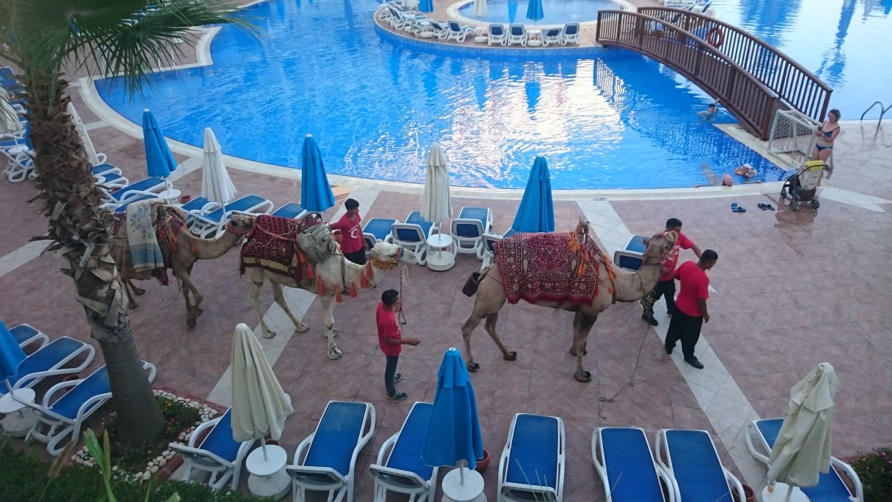 Pool Side Prenses Resort & Spa
