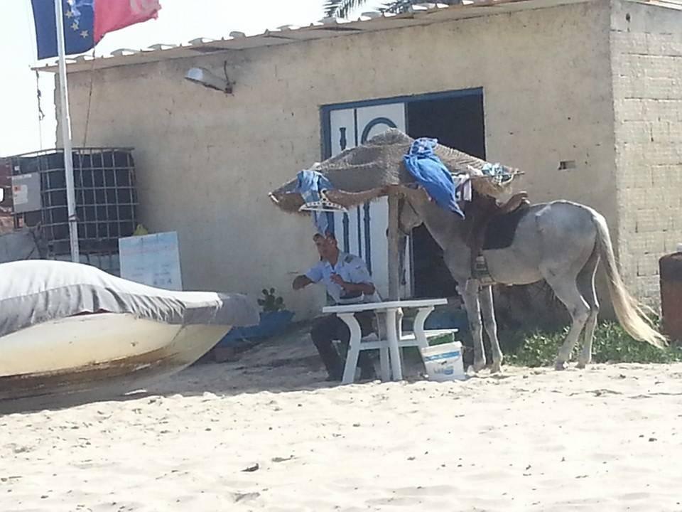 Polizei am Strand 2014 Alassio Hotel and Thalasso
