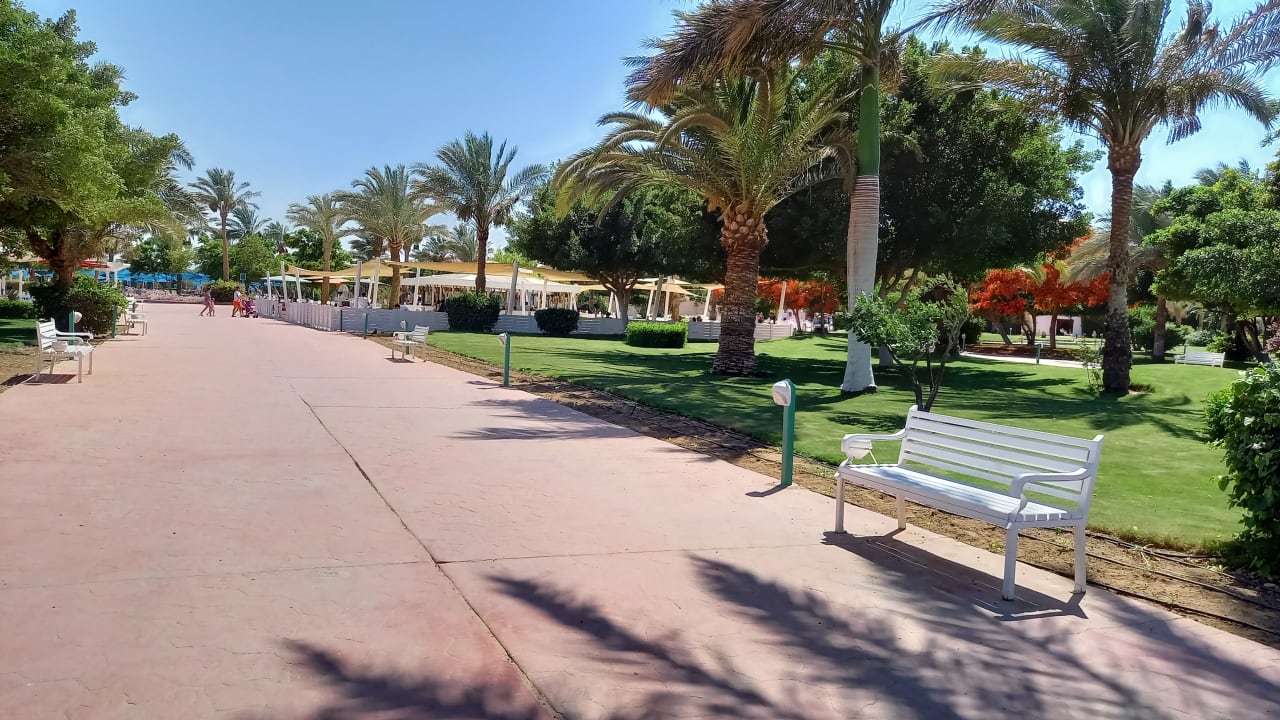 Gartenanlage Desert Rose