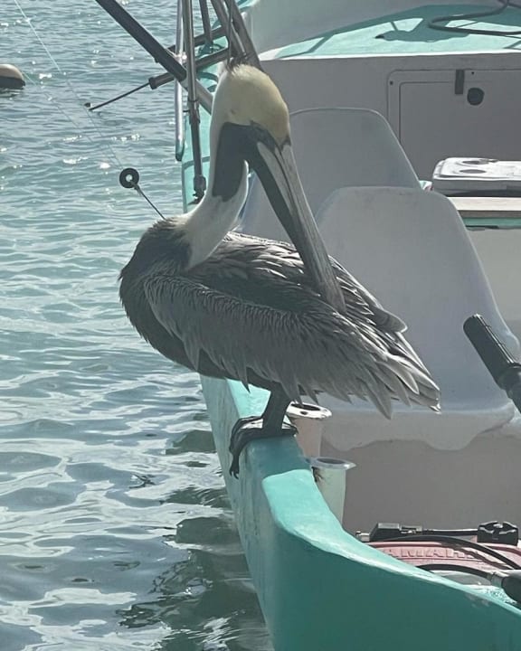 Strand Akumal Bay Beach & Wellness Resort
