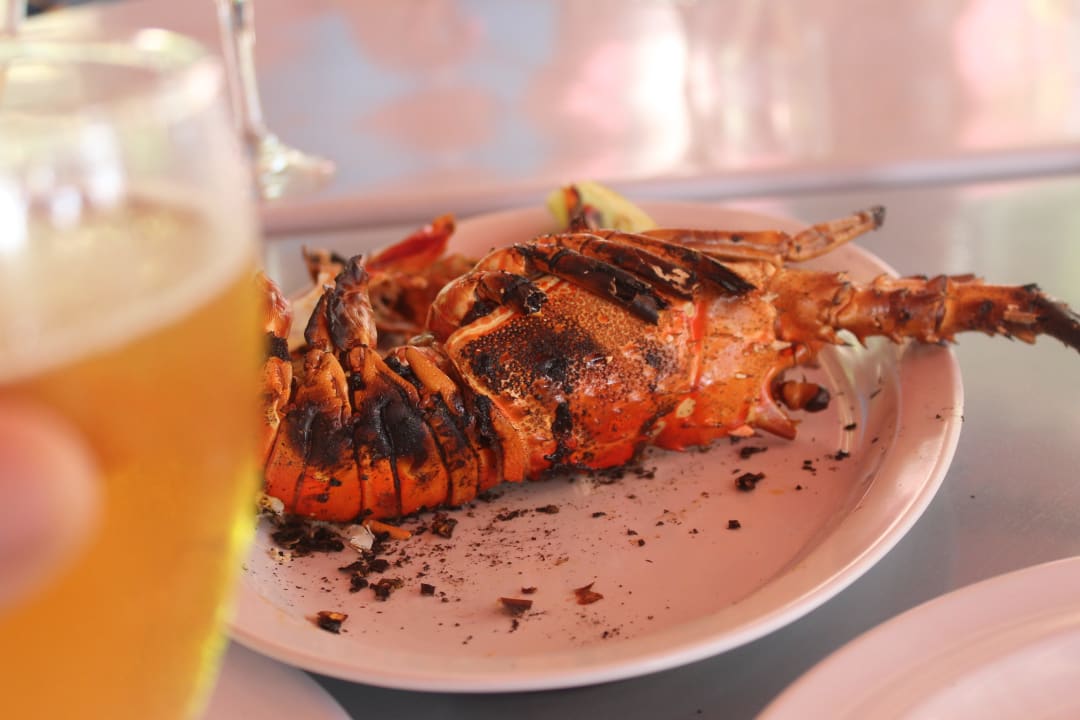 Hotel Grand Palladium Palace Resort, Spa & Casino Hotel Grand Palladium Palace Resort, Spa & Casino