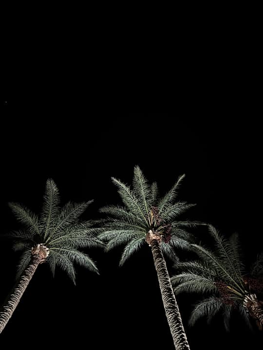 Außenansicht Marriott Hurghada Beach Resort