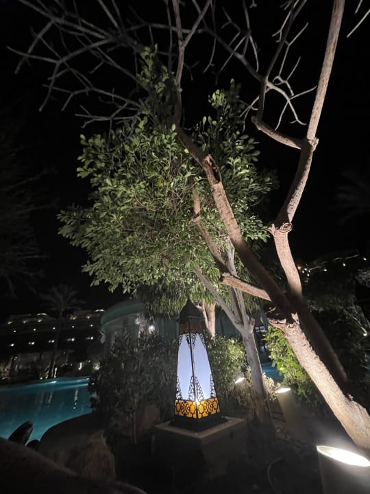 Pool Makadi Spa - Adults only