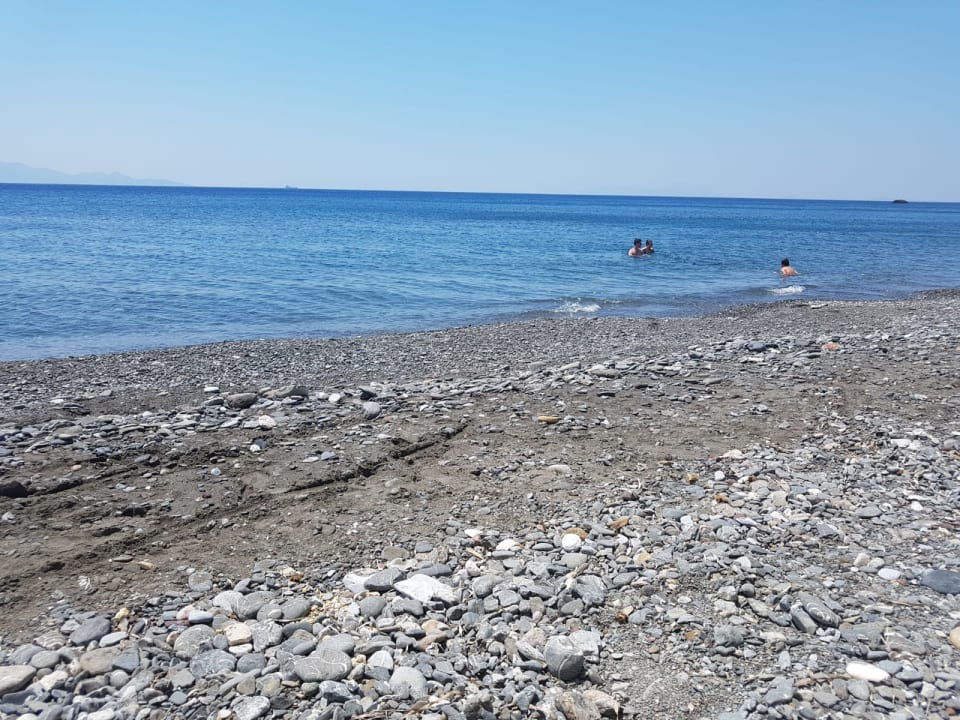 Strand Dimitra Beach Hotel & Suites