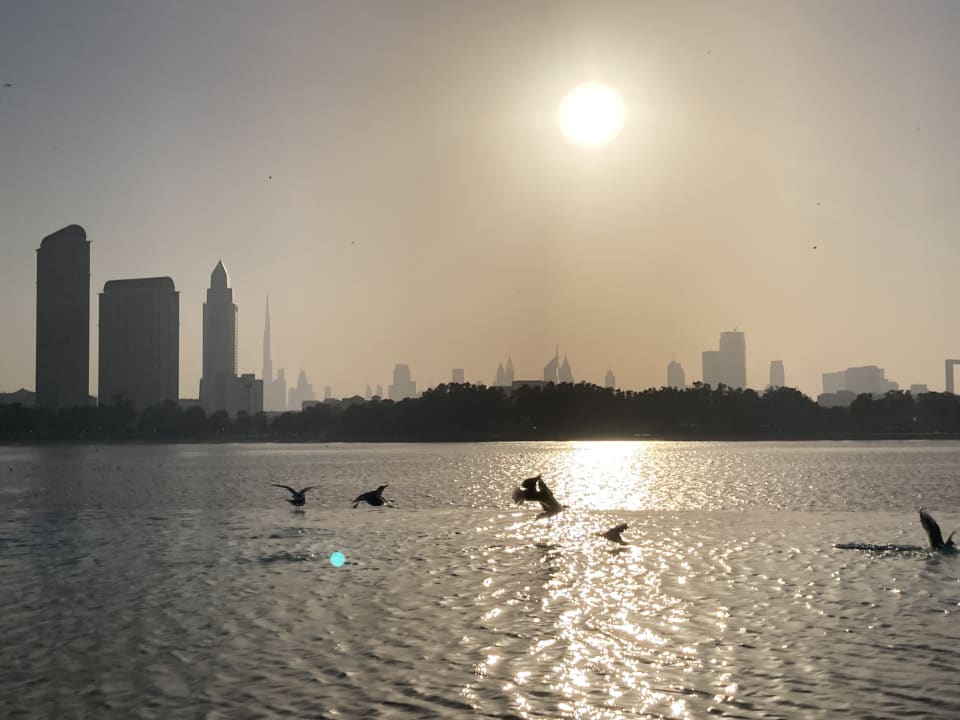 Pool Grand Hyatt Dubai