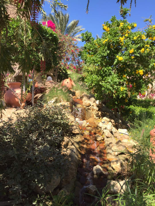 Gartenanlage Hotel Blue Lagoon