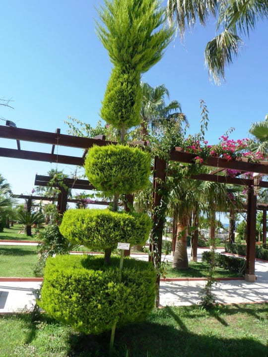 Motiv Saphir Resort & Spa