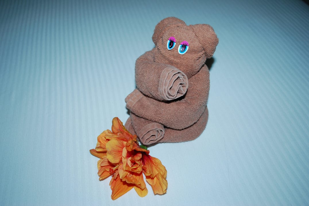 Handtuchdekoration Hotel Riu Lupita