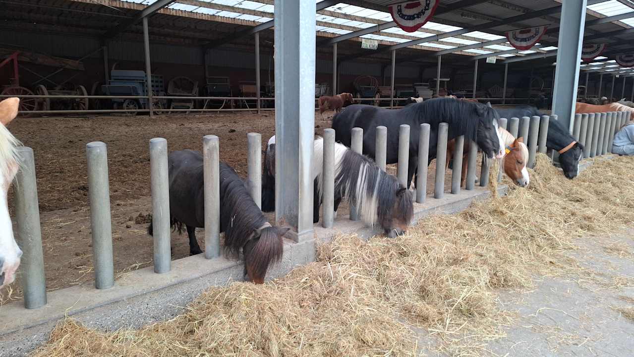 Gartenanlage PonyparkCity