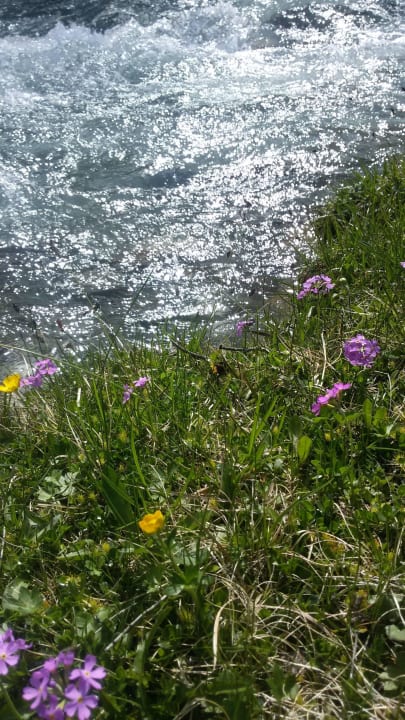 Der Sommer kommt :-)  Pension Fürhapter Bio- Bauernhof