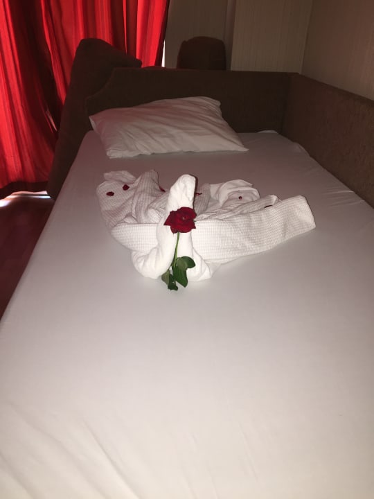 Zimmer Alaiye Resort & Spa