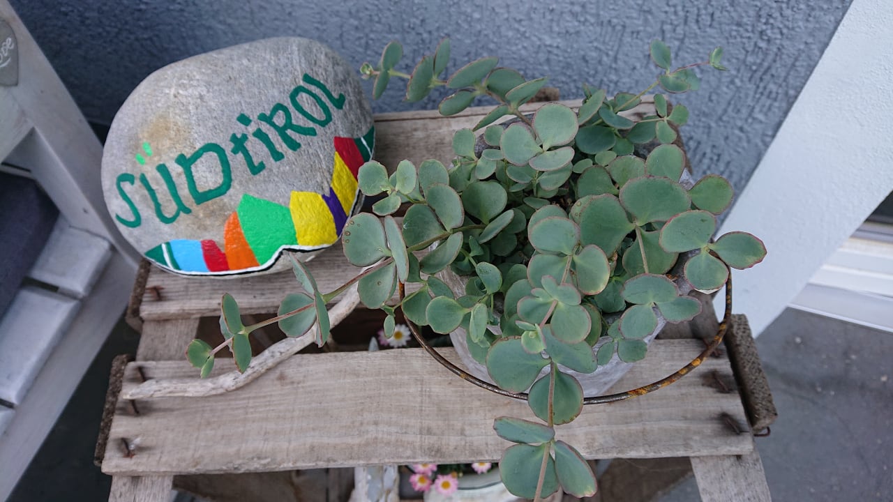 Sonstiges Eichmannhof