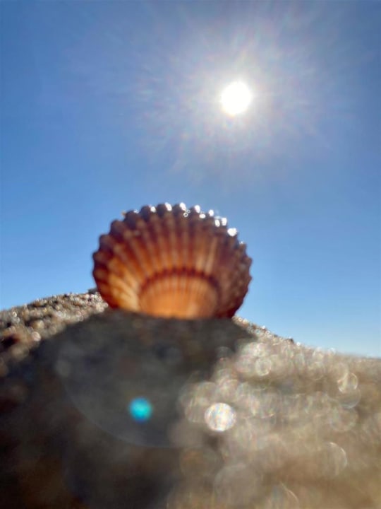 Sonstiges Dream World Aqua Hotel