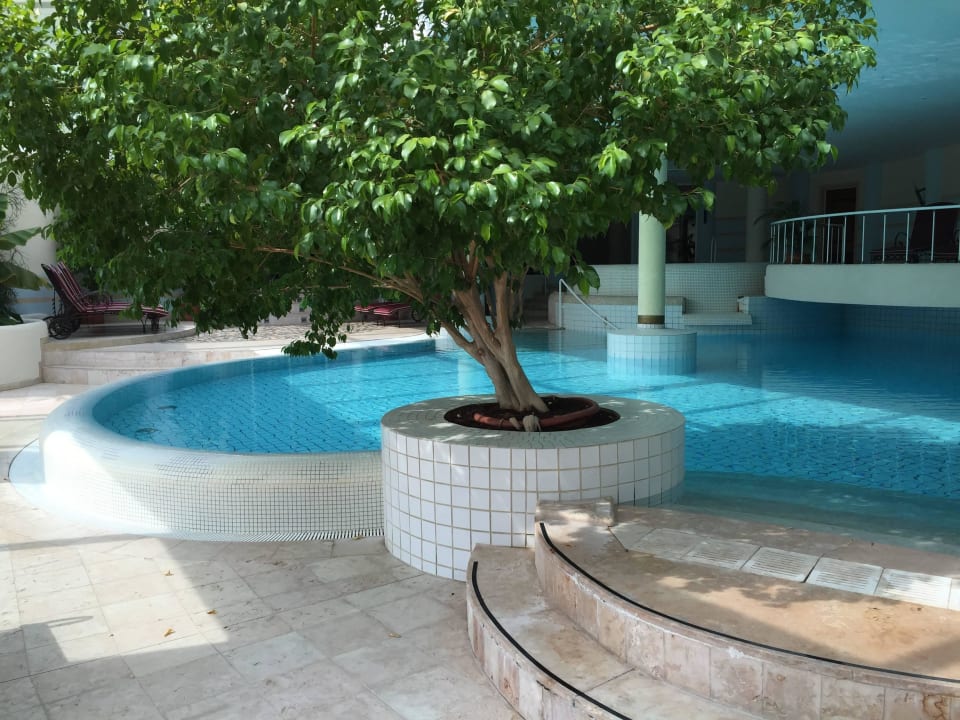 Der Innenpool Hotel Hohenwart