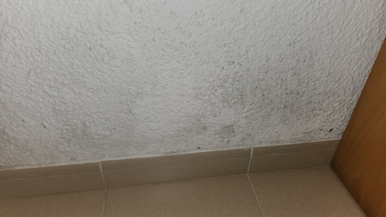 Zimmer Flipflop Cala Romantica