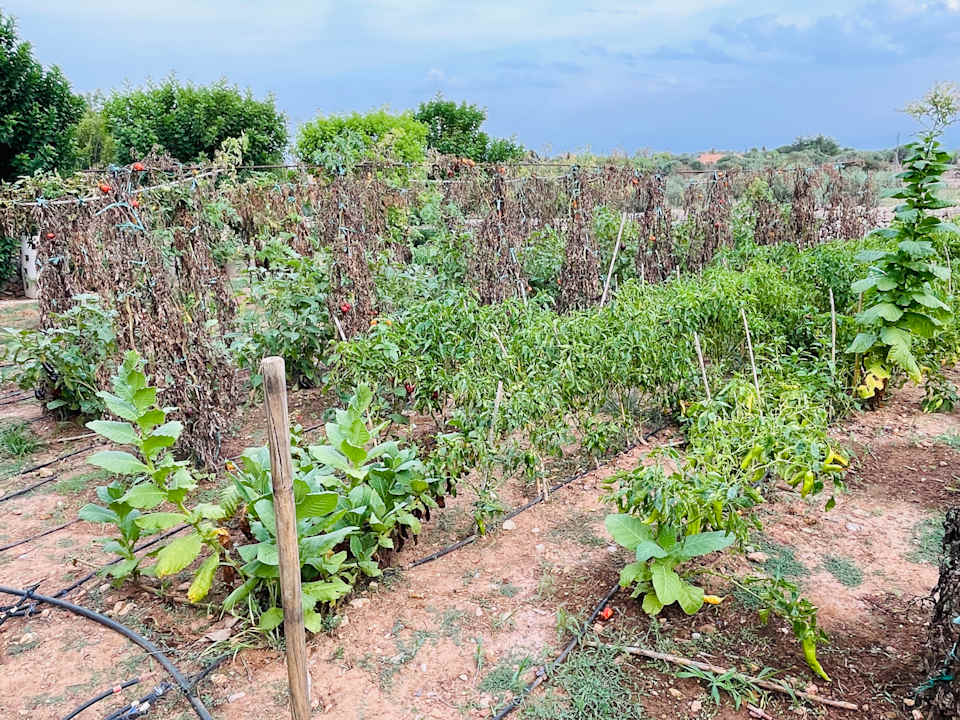 Gastro Agroturisme Sa Gruta Vella