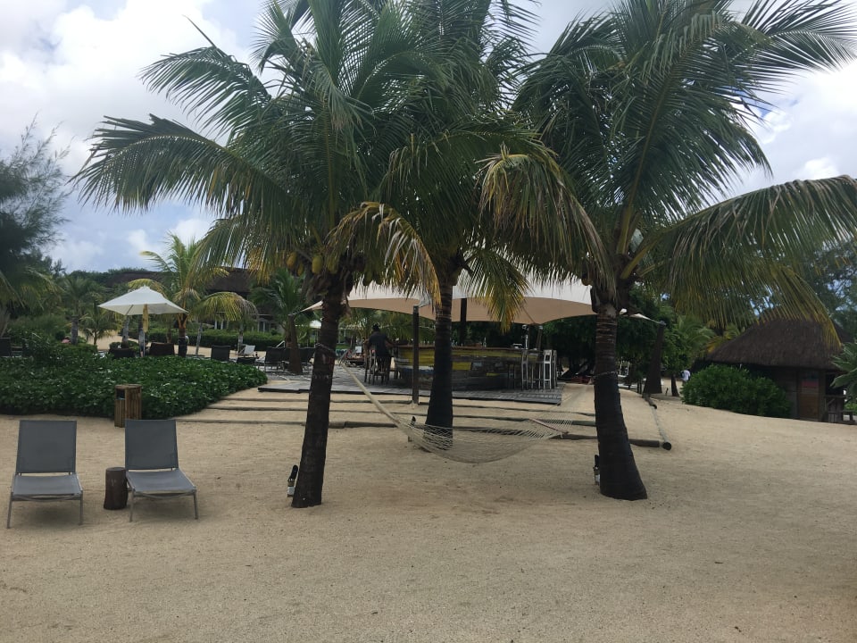 Strand Zilwa Attitude