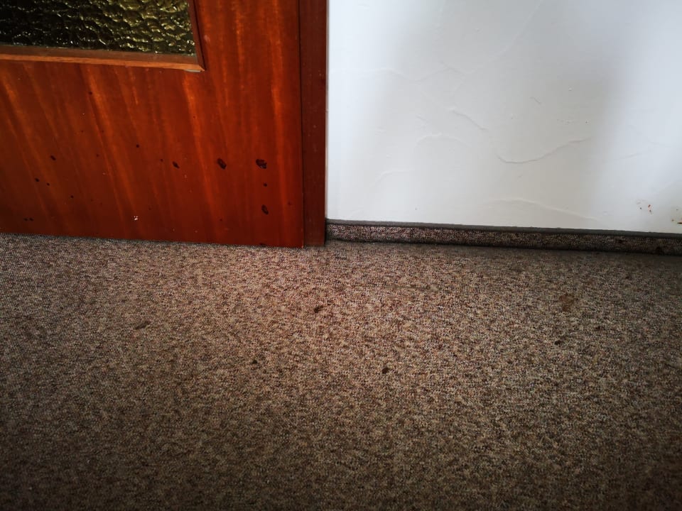 Zimmer Gasthof-Hotel Schwäbele Eck