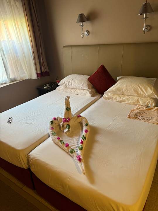 Zimmer Jaz Makadi Oasis Resort