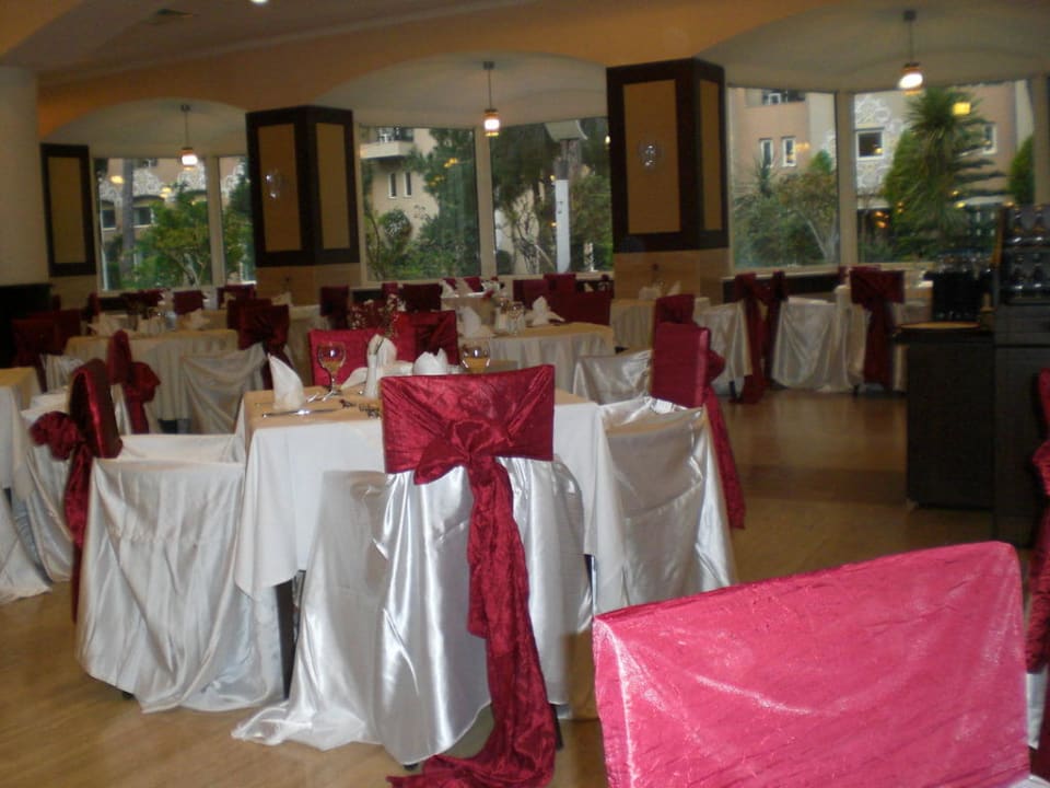 Türkischer Abend Papillon Ayscha