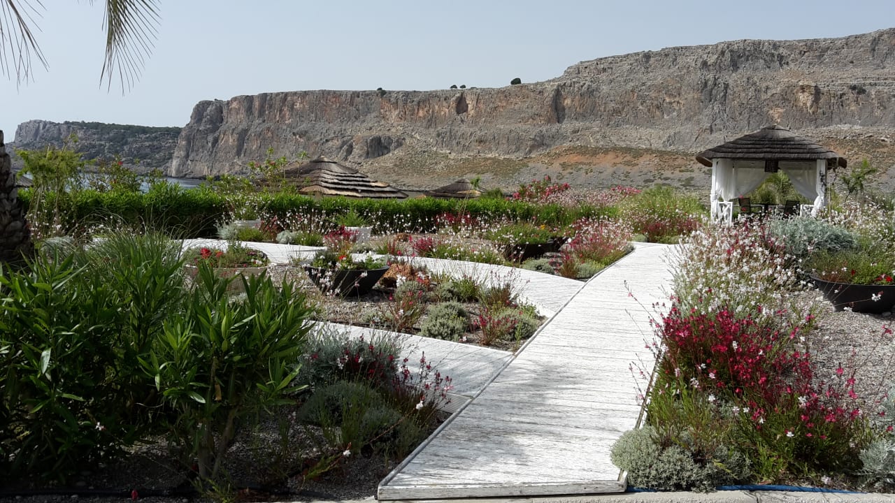 Gartenanlage Aquagrand Artistic Luxury Beach Resort - Adults only