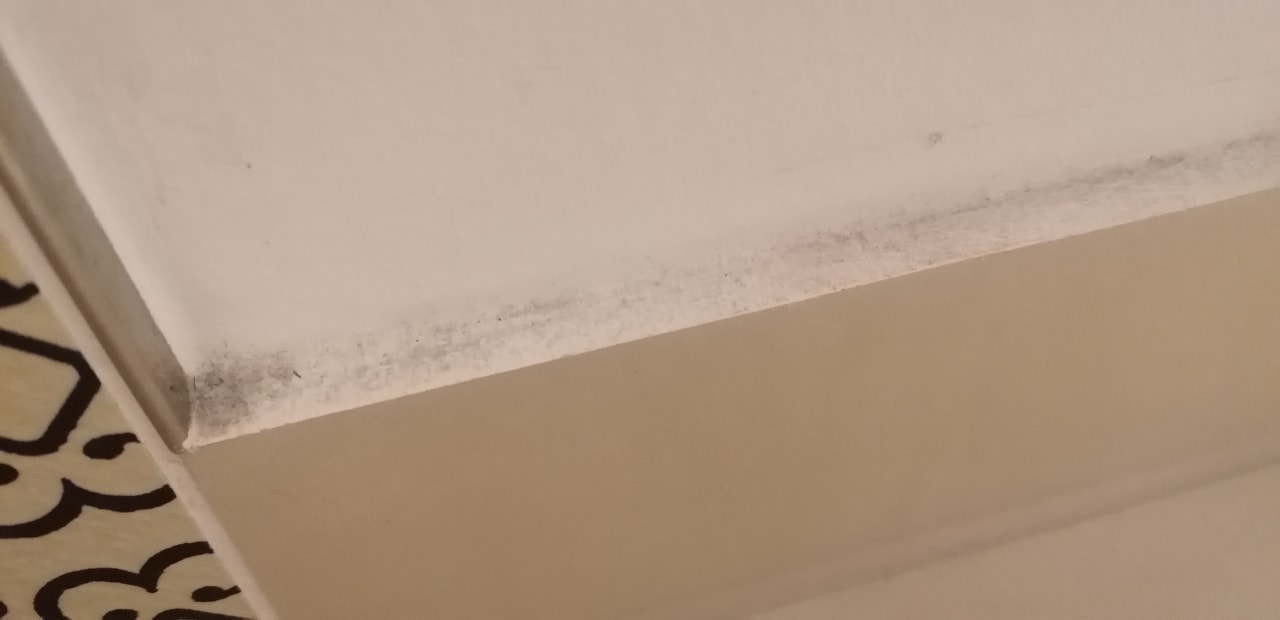 Zimmer Hotel Schöne Aussicht