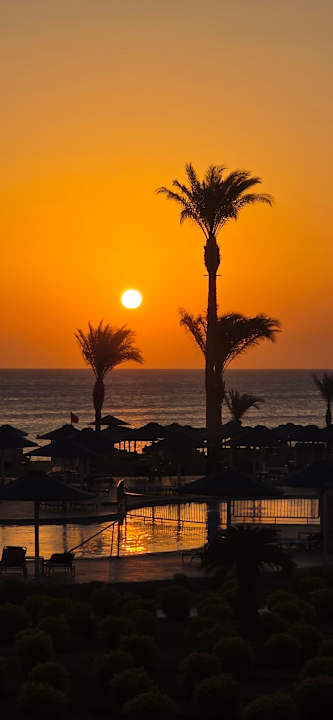 Ausblick Beach Albatros Resort