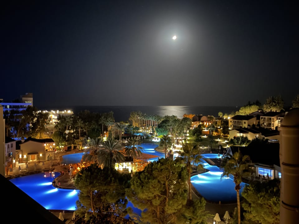 Ausblick Arum Barut Collection