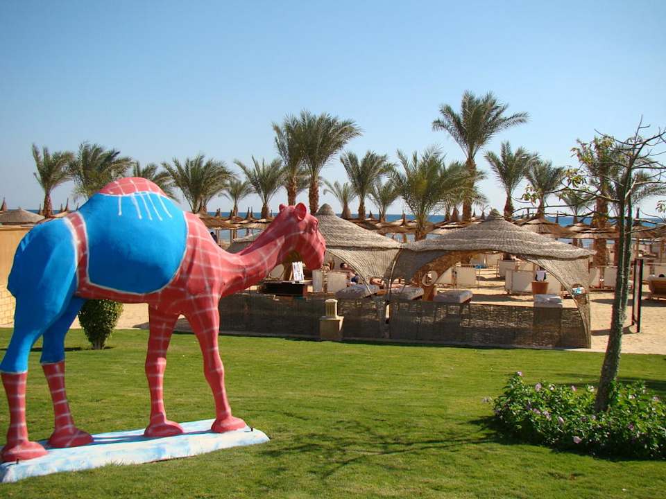 Сад Pickalbatros Palace Resort