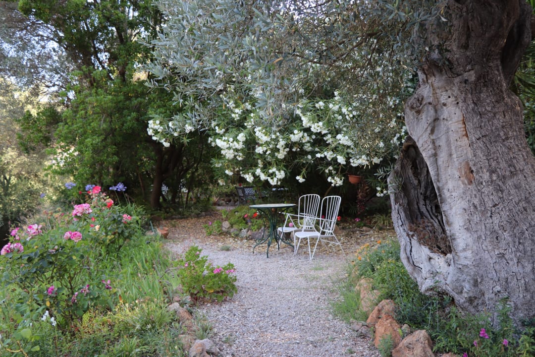Gartenanlage Finca sa Maniga