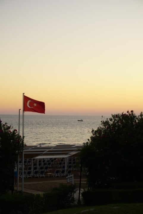 Ausblick Alba Queen Hotel