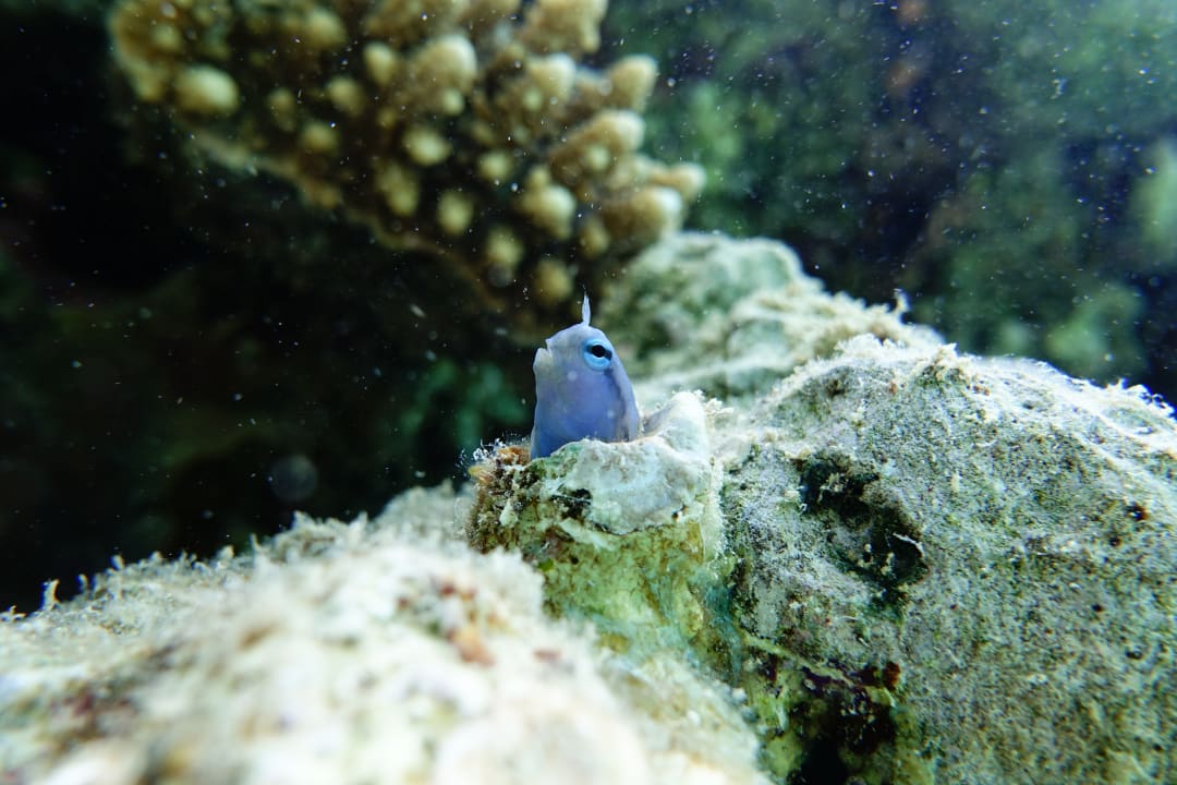 Sport & Freizeit Lahami Bay Beach Resort