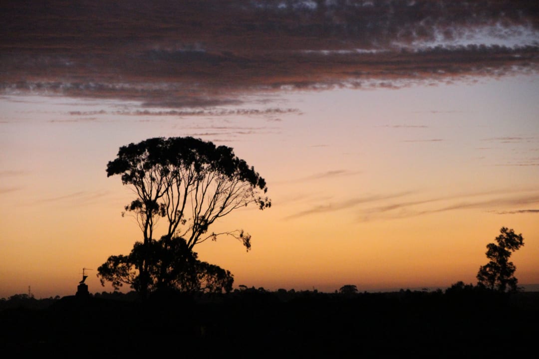 Sonstiges Hotel Garden Route Game Lodge