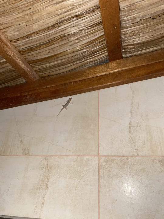 Zimmer Kuredu Island Resort & Spa