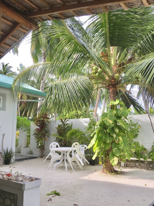 Gartenanlage Vaali Beach Lodge Maldives