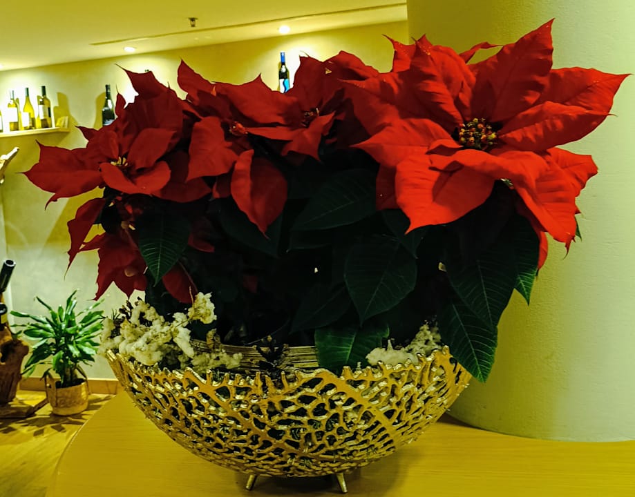 Lobby Das Sonnreich Thermenhotel Loipersdorf