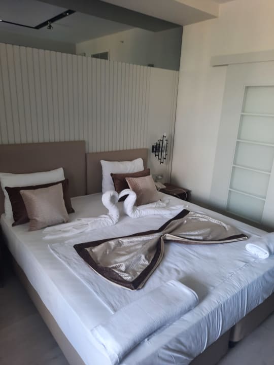 Zimmer Victory Volare Hotel