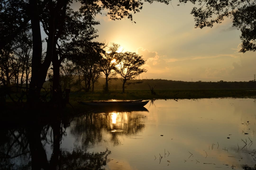Ausblick auf den angrenzenden See Habarana Village by Cinnamon