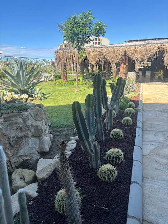 Gartenanlage Dream Fun World