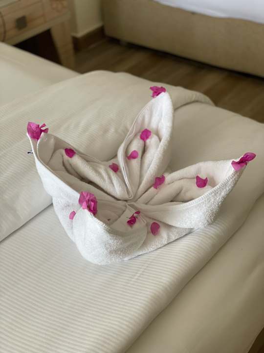 Zimmer Beach Albatros Resort