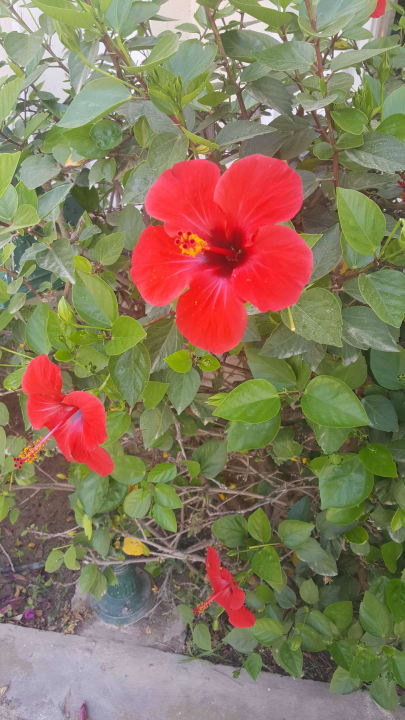 LTI Mahdia Beach  Mahdia Beach & Aquapark