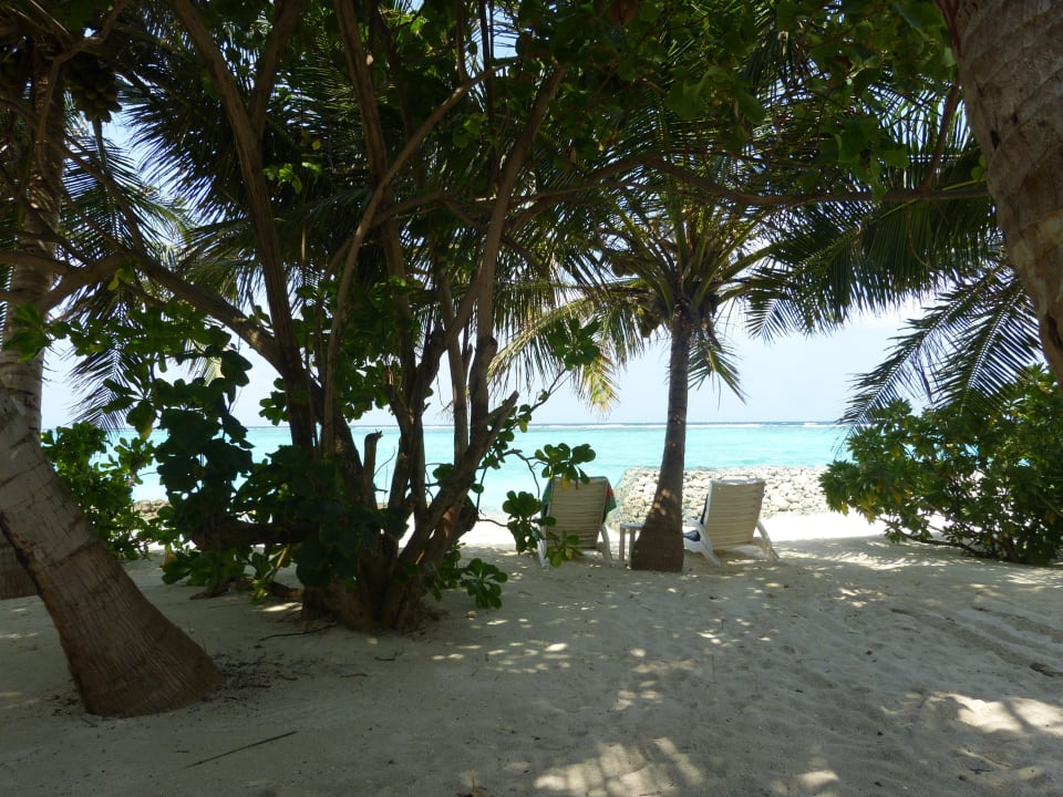 Superiorbungalow 230 Summer Island Maldives