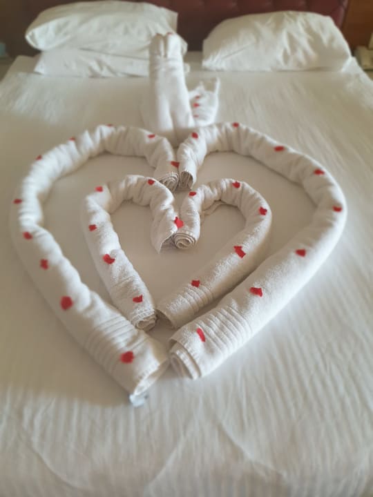 Zimmer Royal Taj Mahal Hotel